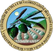Ctv