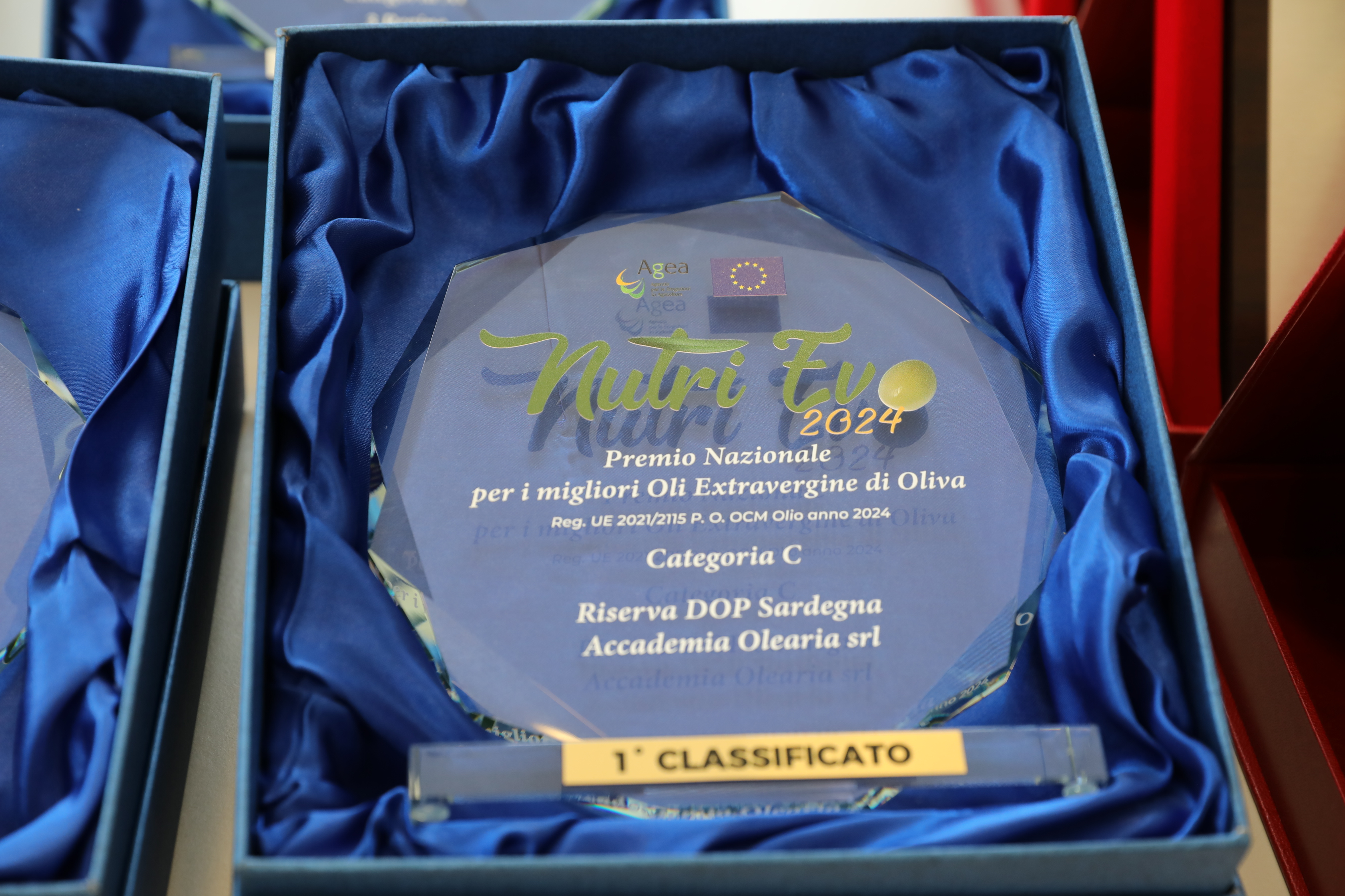Premiazione Nutrievo 2024